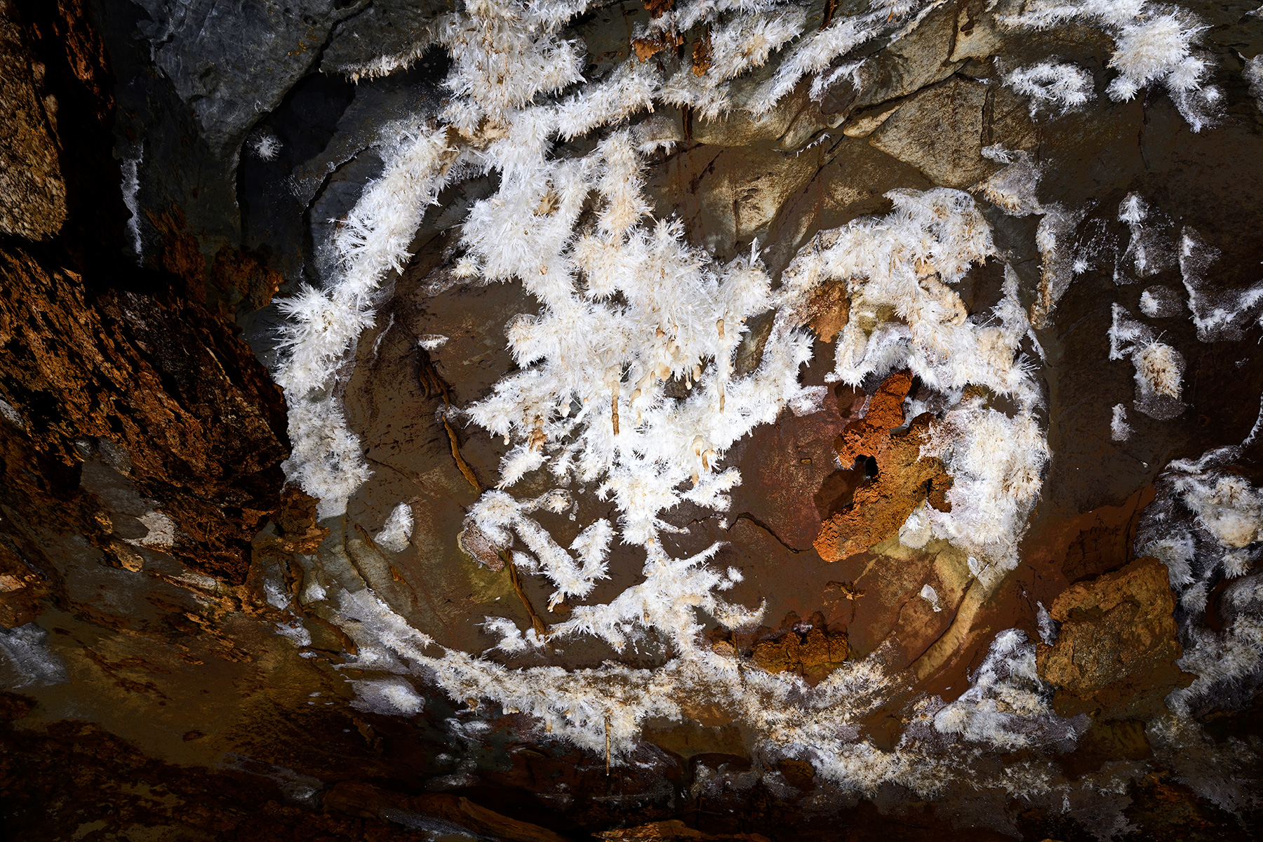 Gruta do Tamboril (Minas Gerais, Brésil) -  Plafond couvert de bouquets d'aragonite en cercle